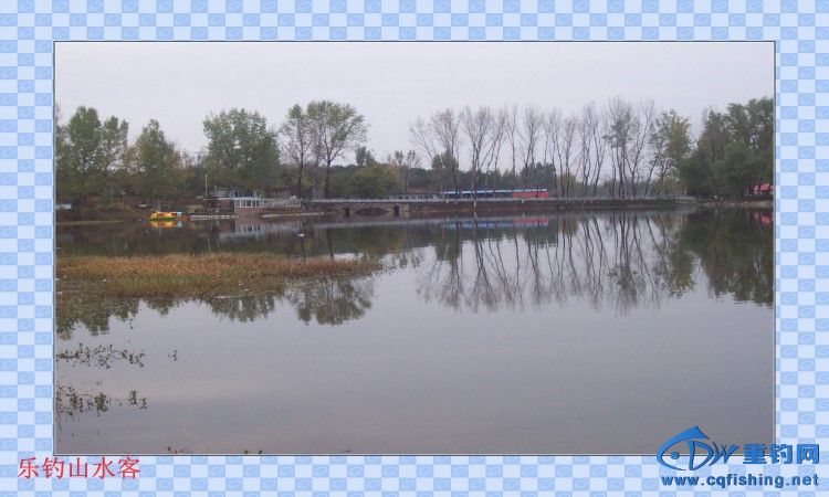 conew_100_8579.jpg