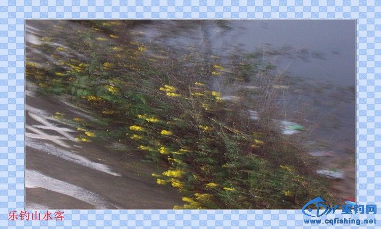 conew_100_8584.jpg
