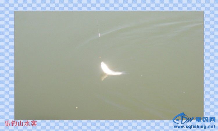conew_100_8707.jpg