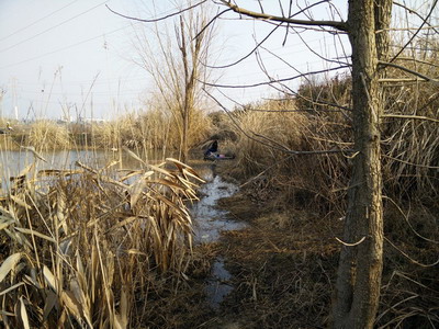 03.jpg