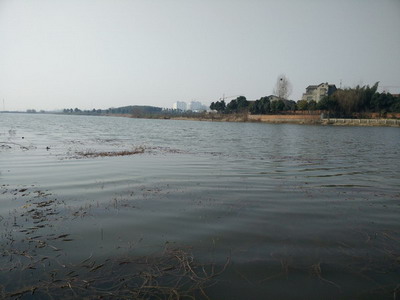 07.jpg