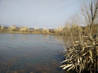 08.jpg