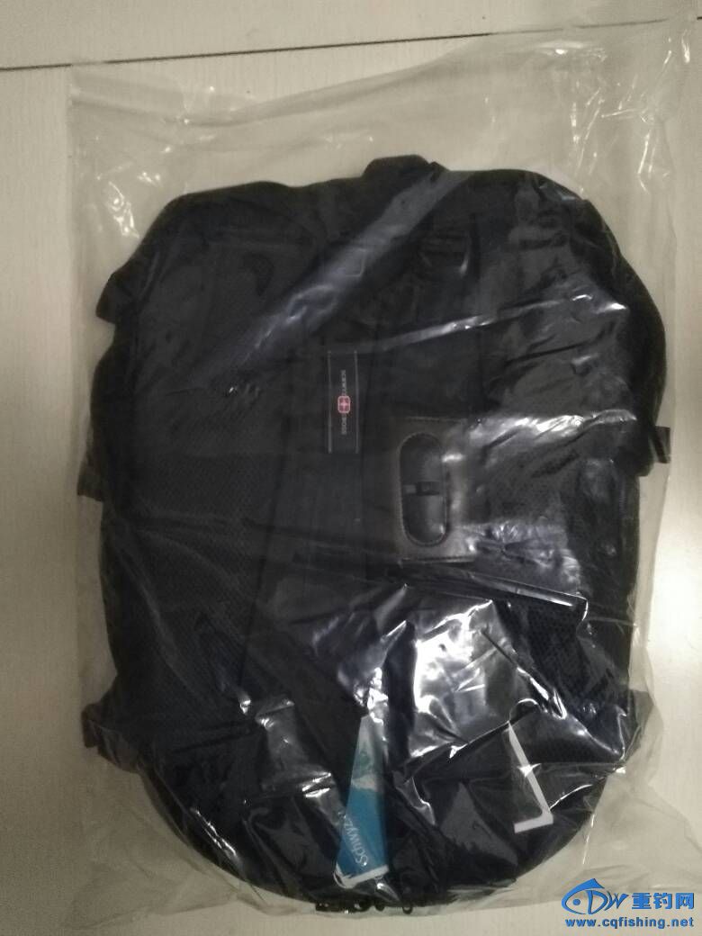 092436qzt5kotylb70hanh.jpg