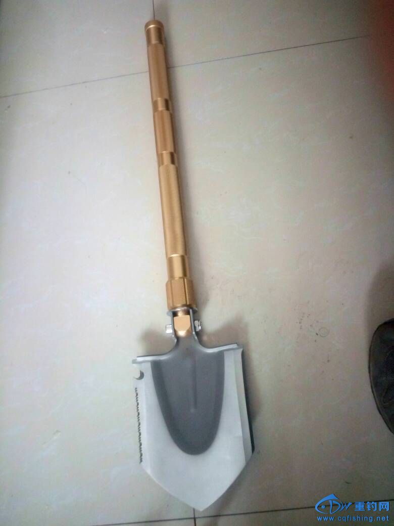 100756xalxxexe60l6cjlx.jpg