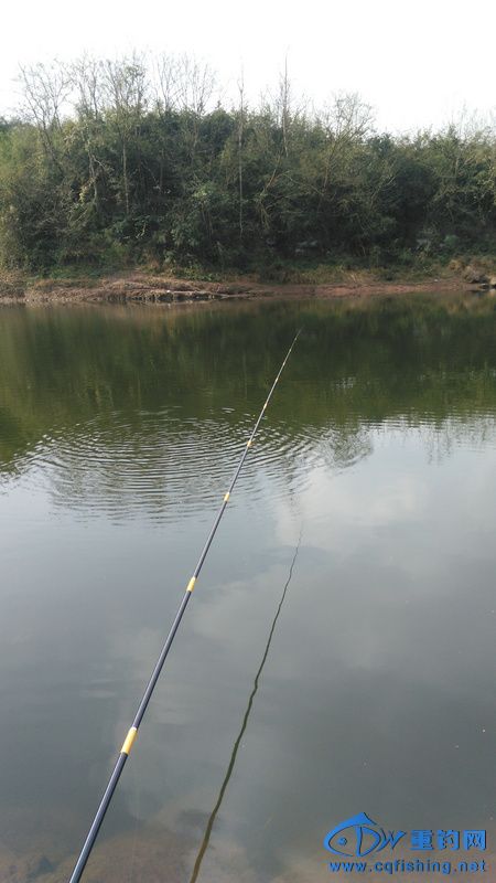 IMG_20170113_125049.jpg