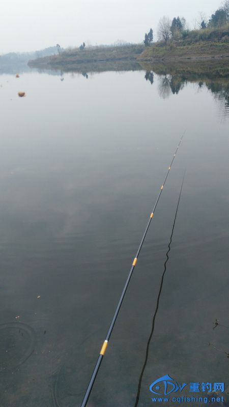 IMG_20170209_110657.jpg