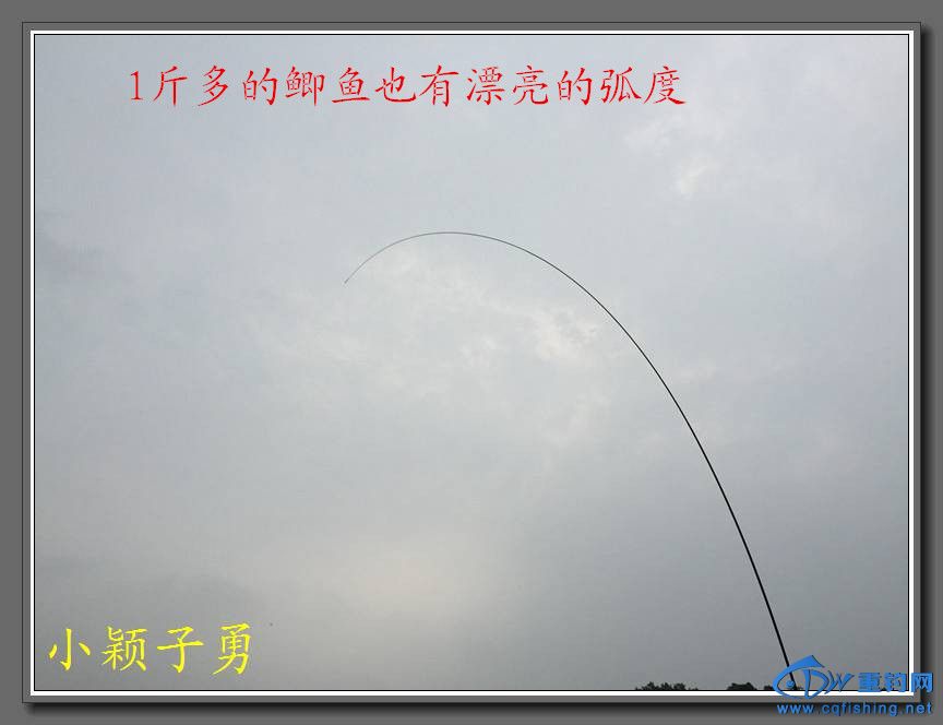 IMG_1731.jpg