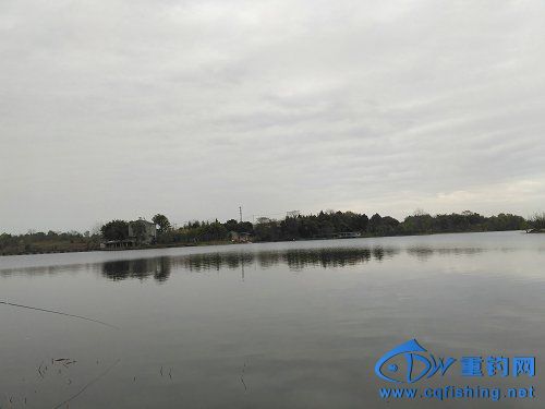 IMG_20170325_092840.jpg