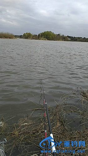 wx_camera_1490427313674.jpg