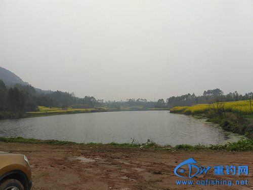 picIMG_20170311_135004.jpg