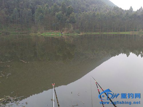 picIMG_20170318_083610.jpg