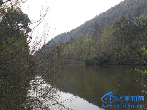 picIMG_20170318_104030.jpg