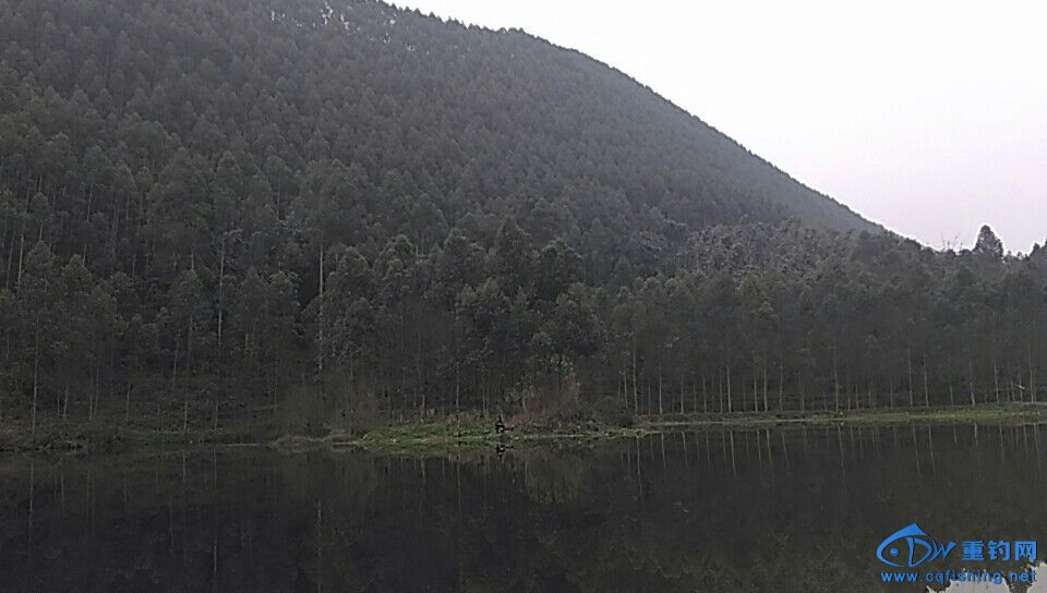 picwx_camera_1489797693239.jpg