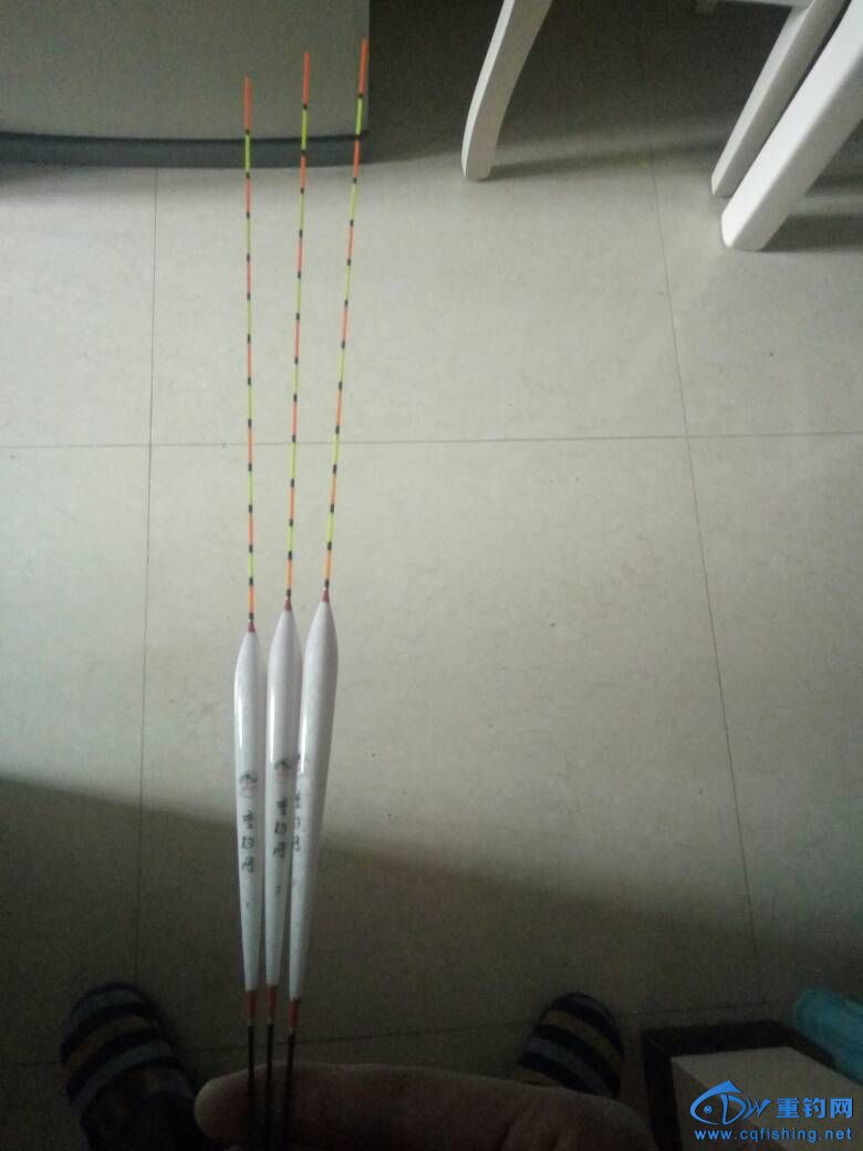 002133m1pxz0rx6pryx388.jpg