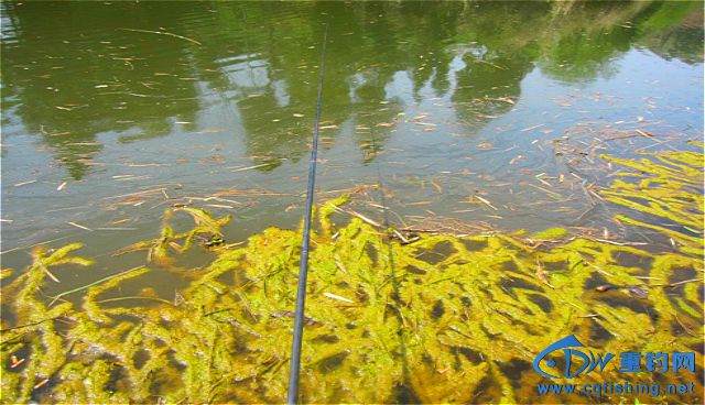 IMG_0695_meitu_38.jpg