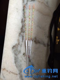 141217pddj8kbgbrwksiws.jpg