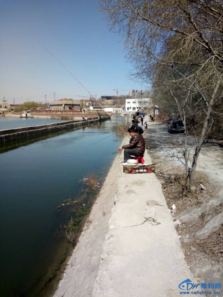 143322qxdxfhxocqdh970o.jpg