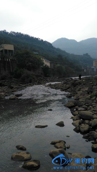 154305rdhyqspqa6856uty.jpg