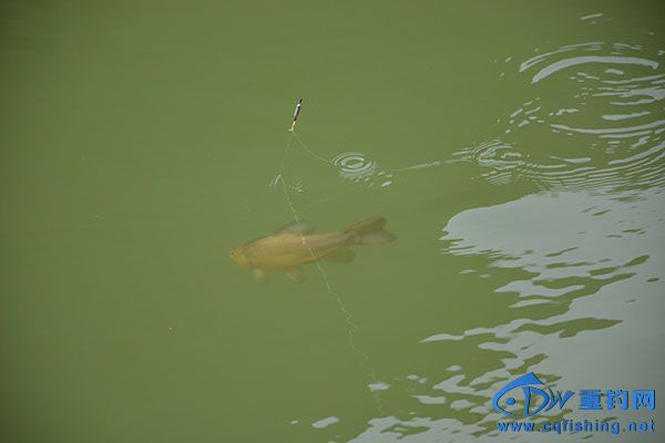 DSC_5210.JPG