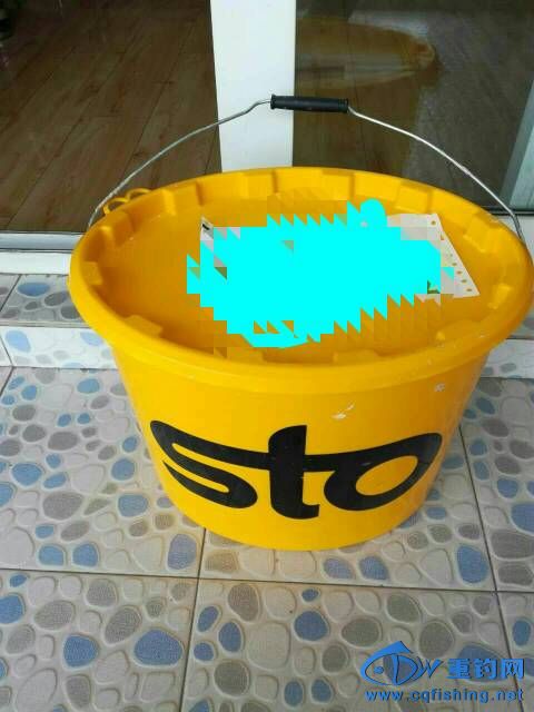 110950vq9ky23ysgb82fzz.jpg