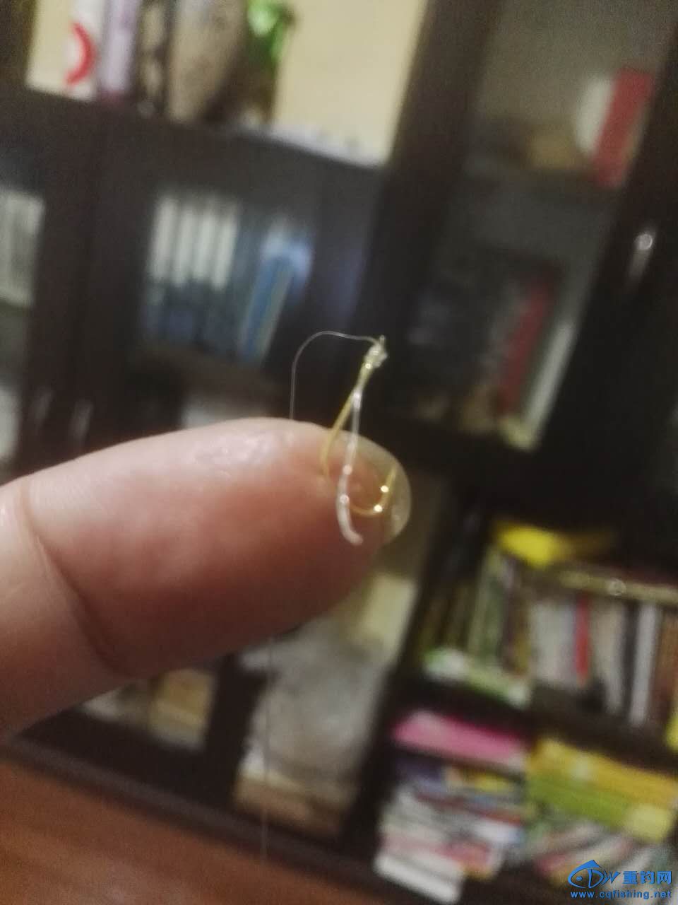 Ѫ˹س