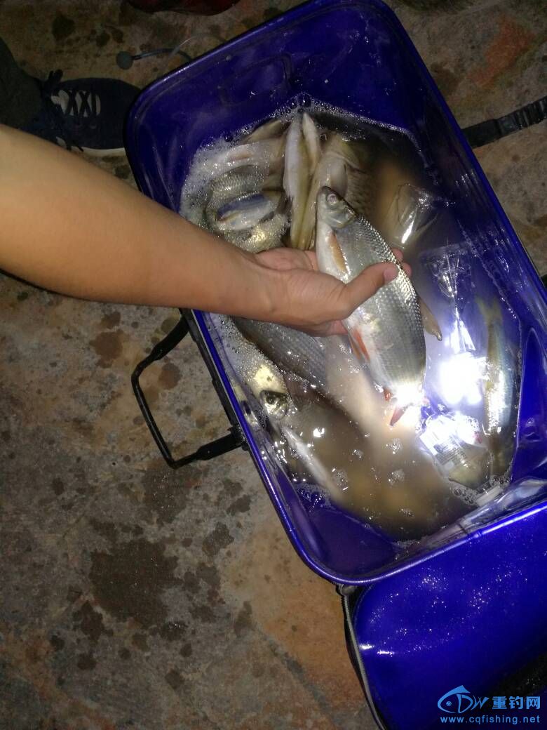 215000ynxilaitinuinr5x.jpg