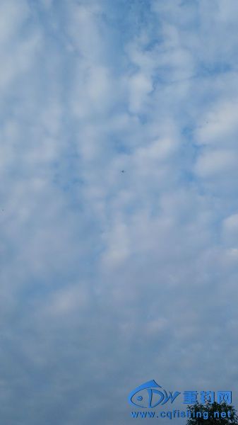 143912ipj45qd5r5a8c0q7.jpg