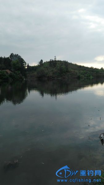153245dgnak4ahjsgyaqh0.jpg