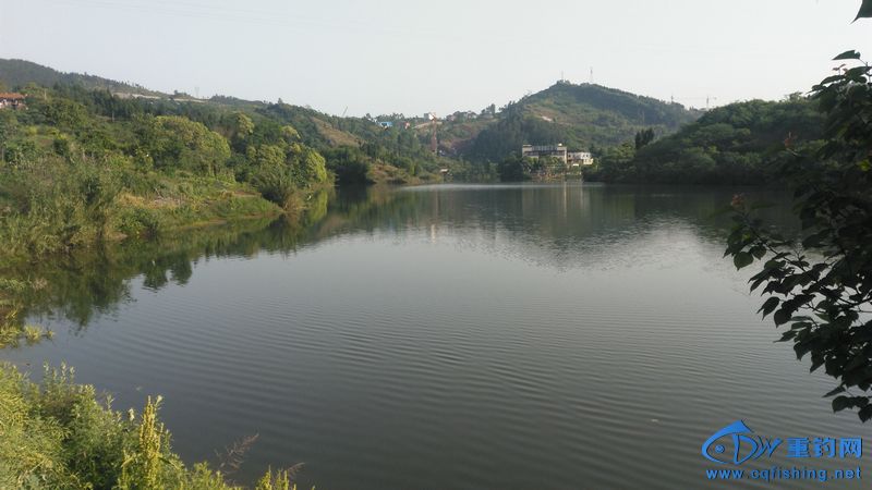IMG_20170504_081745.jpg