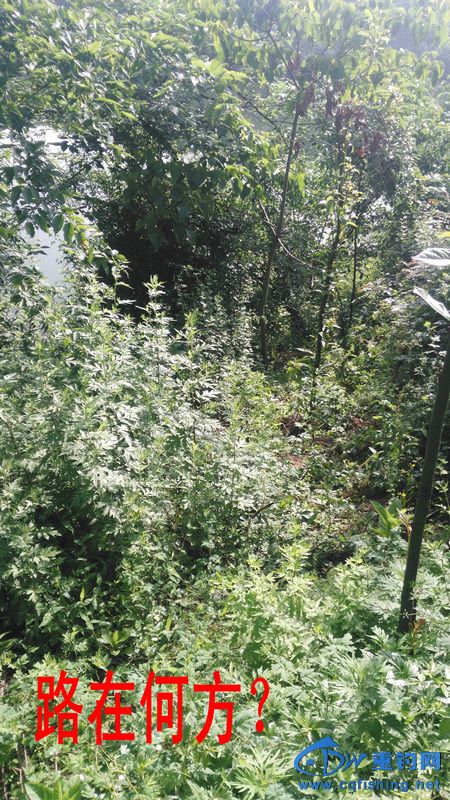 IMG_20170504_083232.jpg