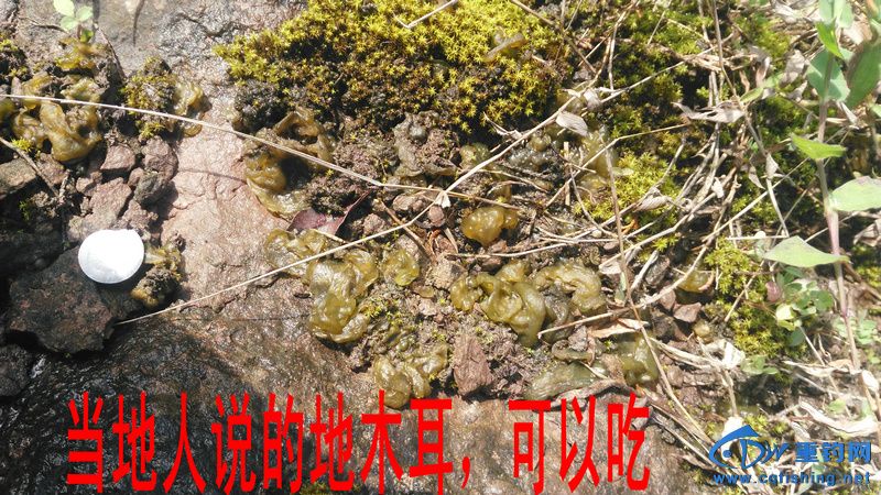 IMG_20170504_083627.jpg