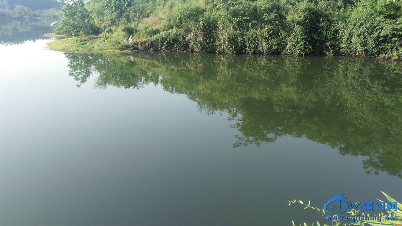 IMG_20170504_084324.jpg