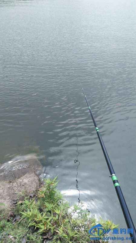 IMG_20170504_112718.jpg