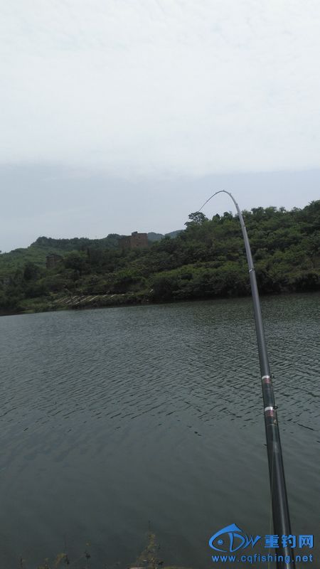 IMG_20170504_114433.jpg