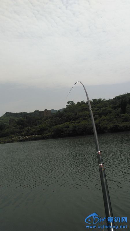 IMG_20170504_114434.jpg