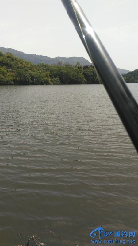IMG_20170504_115819.jpg