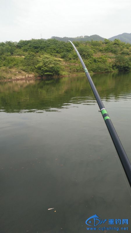 IMG_20170504_153406.jpg