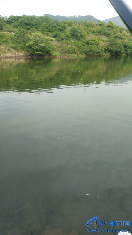 IMG_20170504_153536.jpg