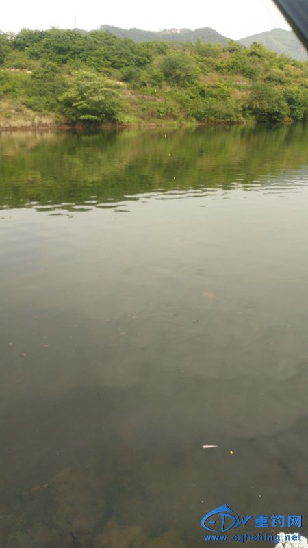 IMG_20170504_153538.jpg
