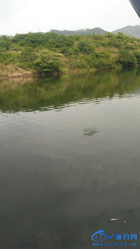 IMG_20170504_153543.jpg