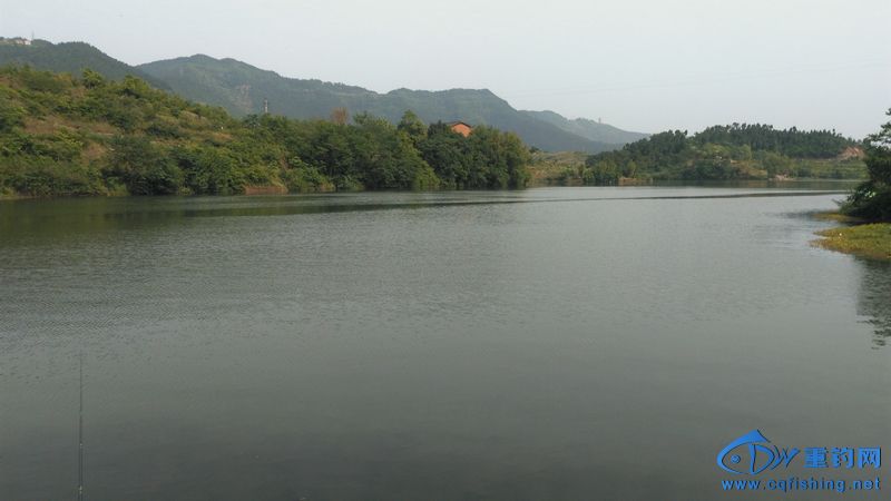 IMG_20170504_155242.jpg