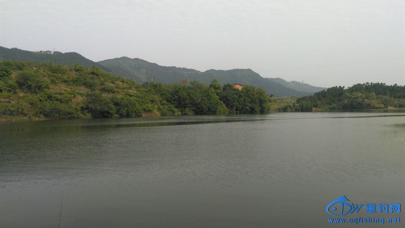 IMG_20170504_155302.jpg