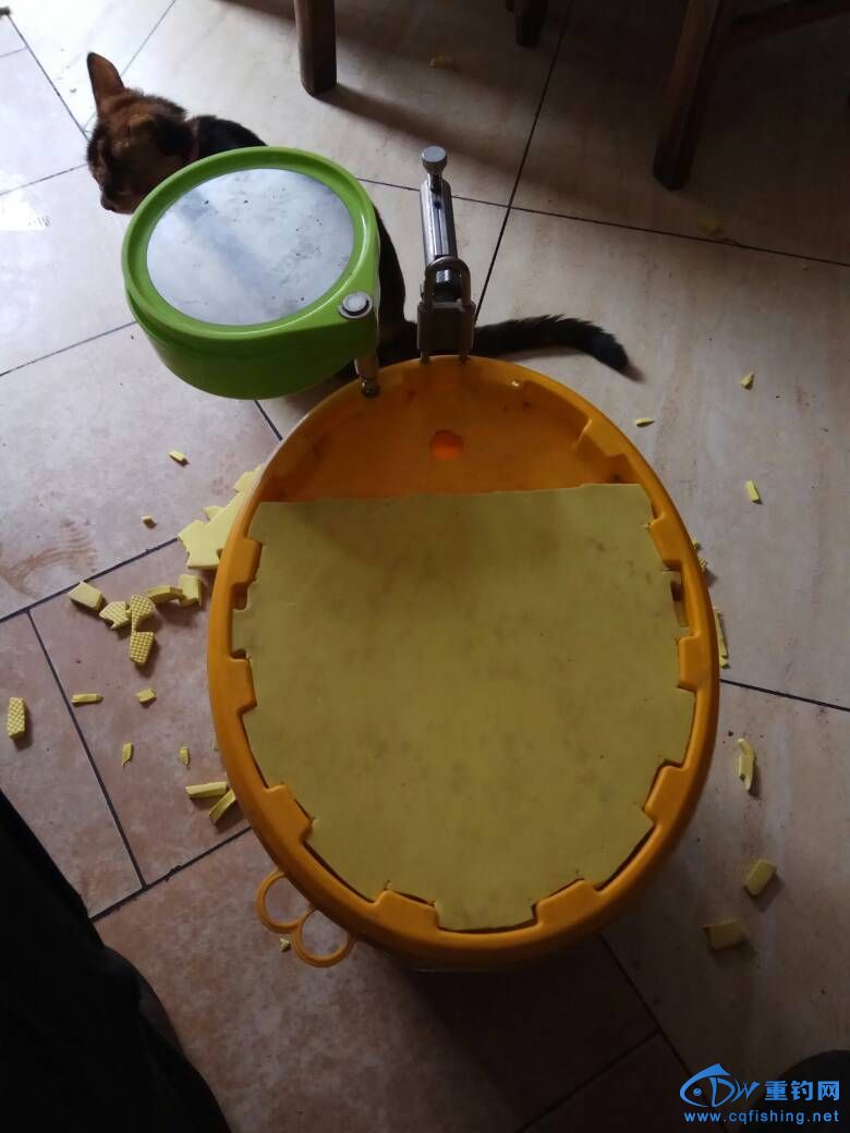 095236ofddmnuzvzomfmus.jpg