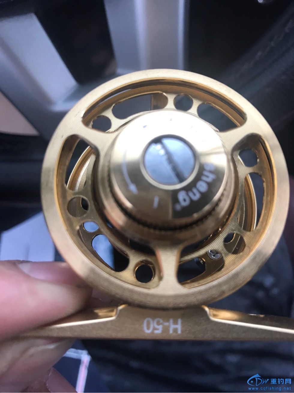 165313mk9waihggjwid4og.jpg