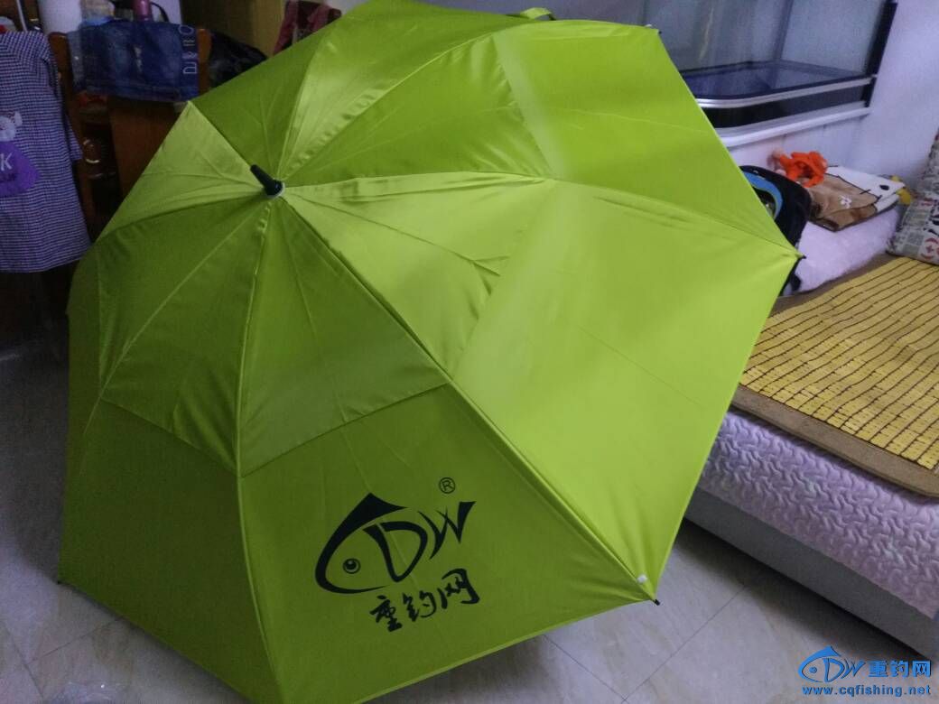 205013dn065j64g8mr00ll.jpg
