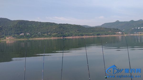 IMG_20170517_094706R.jpg