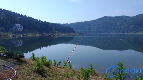 IMG_20170517_094635R.jpg
