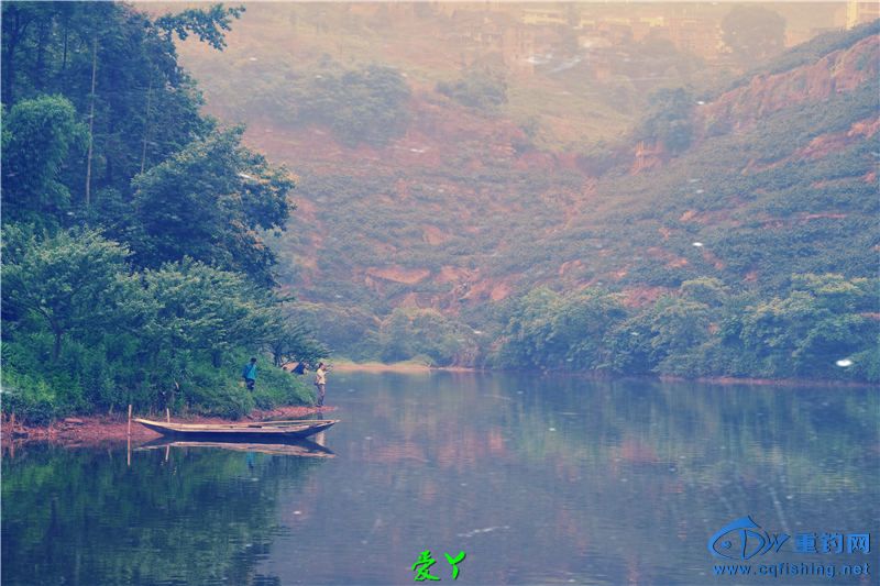 DSCF1039.jpg