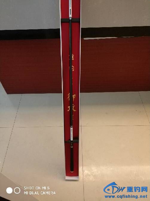 162901p12st2qtata5qs2n.jpg