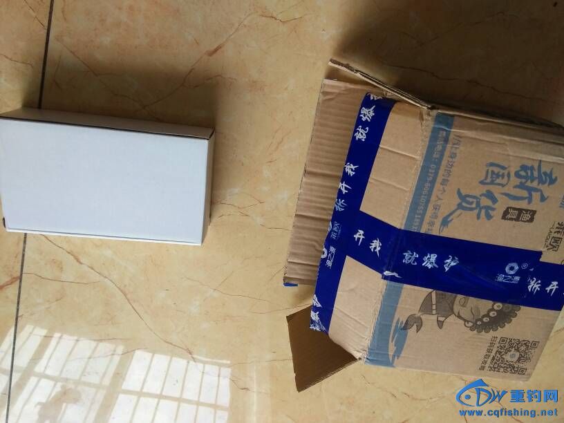142504tmibex3ylcbgeatj.jpg